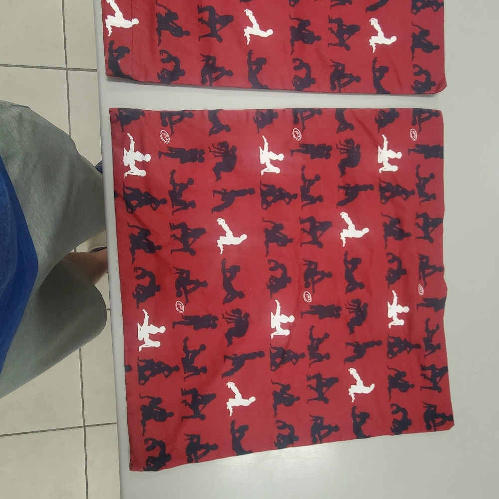 Kama Sutra Pillow Cases (for small pillows)